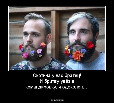 Скотина у нас братец! И бритву увёз в командировку, и одеколон...