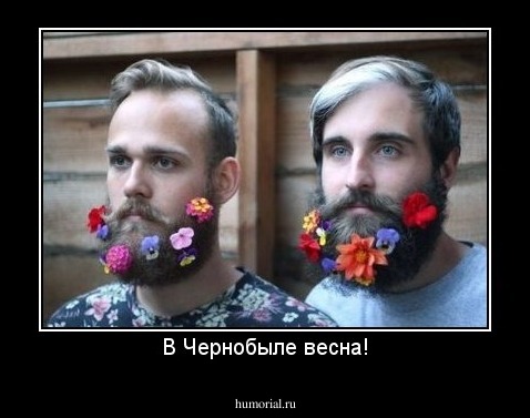 В Чернобыле весна!