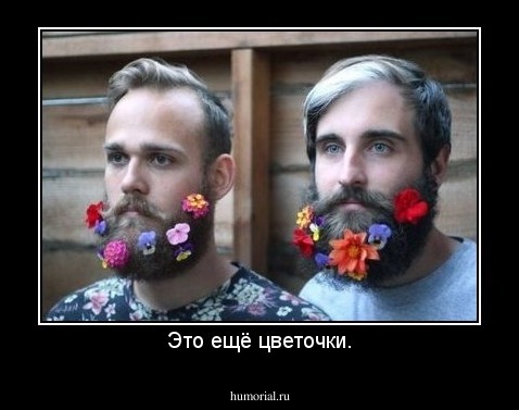 Это ещё цветочки.