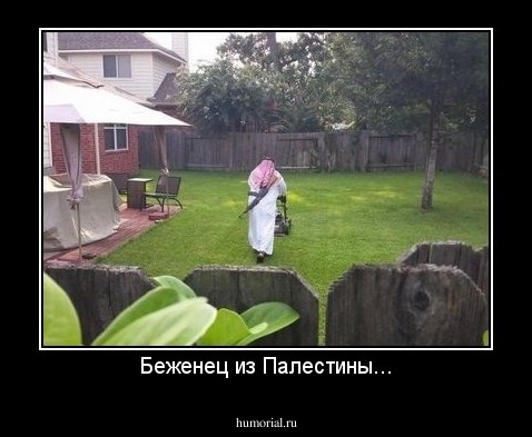Беженец из Палестины...
