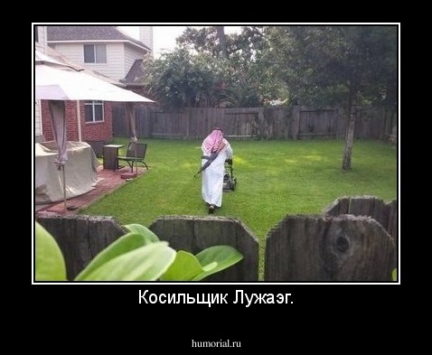 Косильщик Лужаэг.