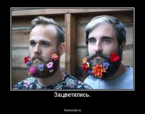 Зацветились.