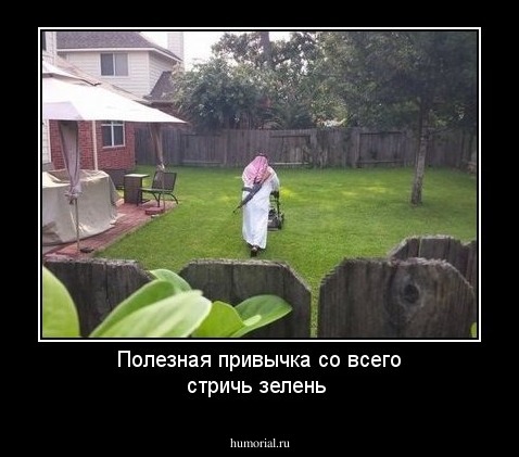 Полезная привычка со всего  стричь зелень 