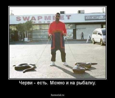 Черви - есть. Можно и на рыбалку.