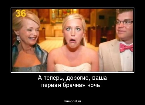 А теперь, дорогие, ваша первая брачная ночь!
