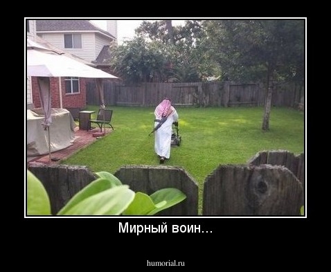 Мирный воин...