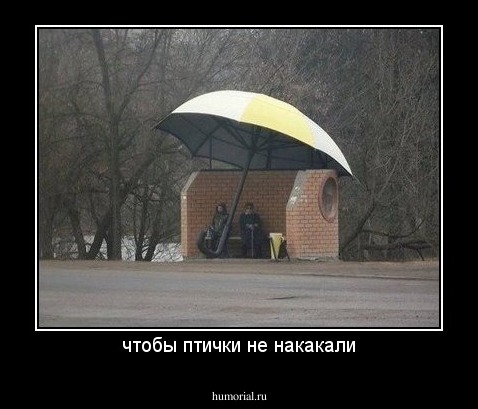 чтобы птички не накакали