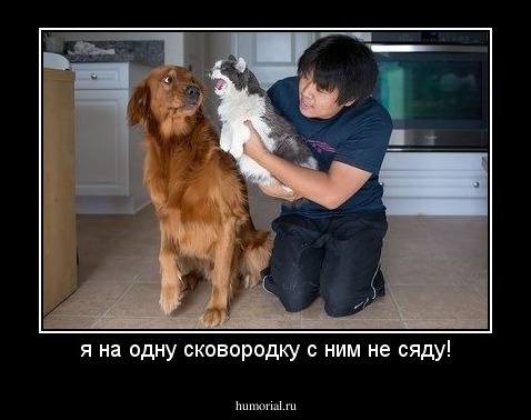 я на одну сковородку с ним не сяду!