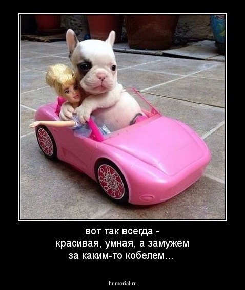 вот так всегда - красивая, умная, а замужем за каким-то кобелем...