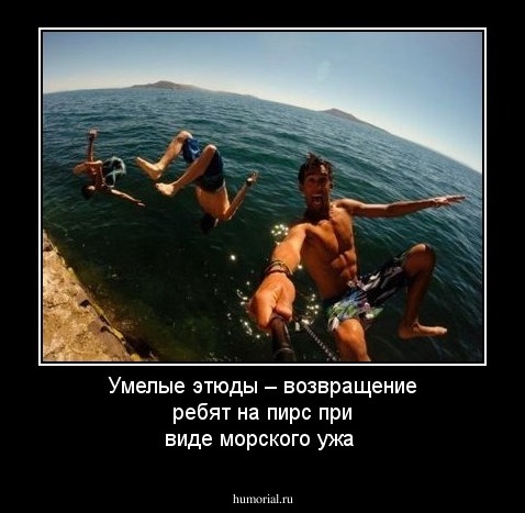 Умелые этюды – возвращение ребят на пирс при виде морского ужа