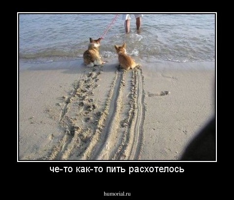 че-то как-то пить расхотелось