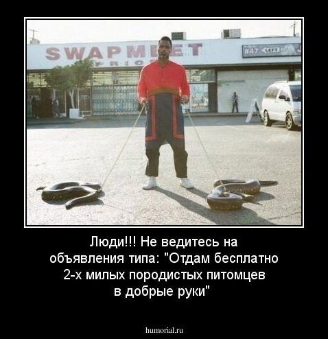 Люди!!! Не ведитесь на объявления типа: "Отдам бесплатно 2-х милых породистых питомцев в добрые руки"