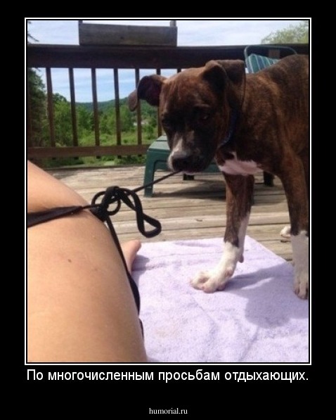 По многочисленным просьбам отдыхающих.