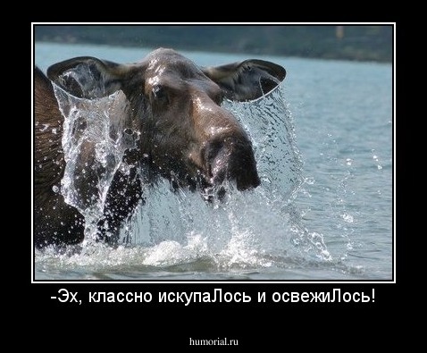 -Эх, классно искупаЛось и освежиЛось!