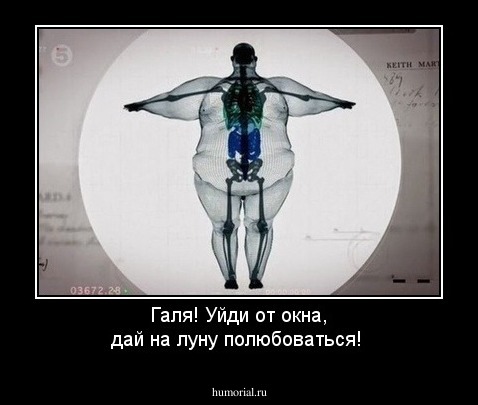 Галя! Уйди от окна, дай на луну полюбоваться!