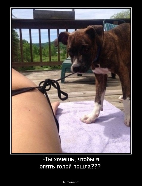 -Ты хочешь, чтобы я опять голой пошла??? 