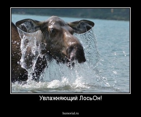 Увлажняющий ЛосьОн!
