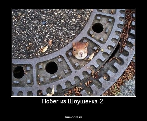 Побег из Шоушенка 2.