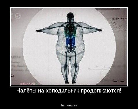 Налёты на холодильник продолжаются!