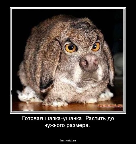 Готовая шапка-ушанка. Растить до нужного размера.