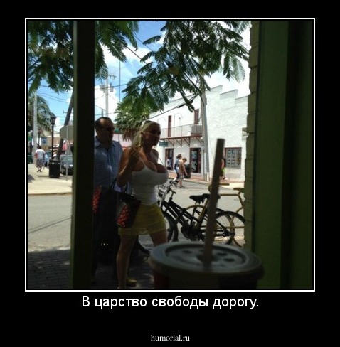 В царство свободы дорогу.