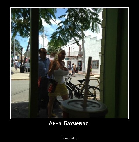 Анна Бахчевая.