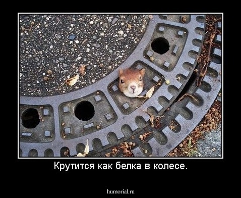 Крутится как белка в колесе.