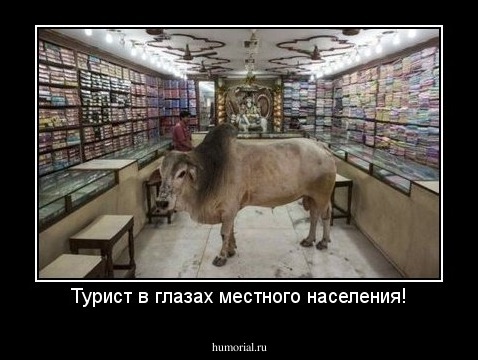 Турист в глазах местного населения!