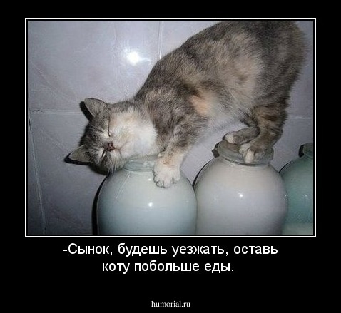 -Сынок, будешь уезжать, оставь коту побольше еды.