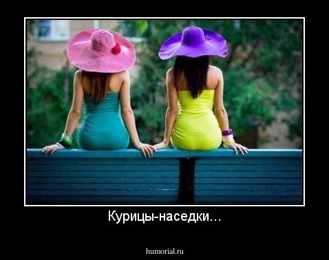 Курицы-наседки...