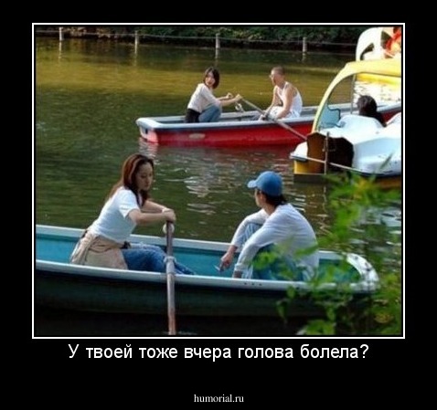У твоей тоже вчера голова болела?