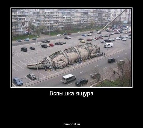 Вспышка ящура

