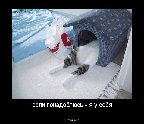 если понадоблюсь - я у себя