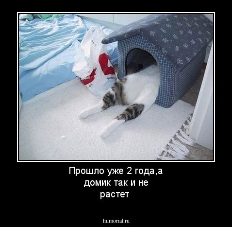 Прошло уже 2 года,а домик так и не растет