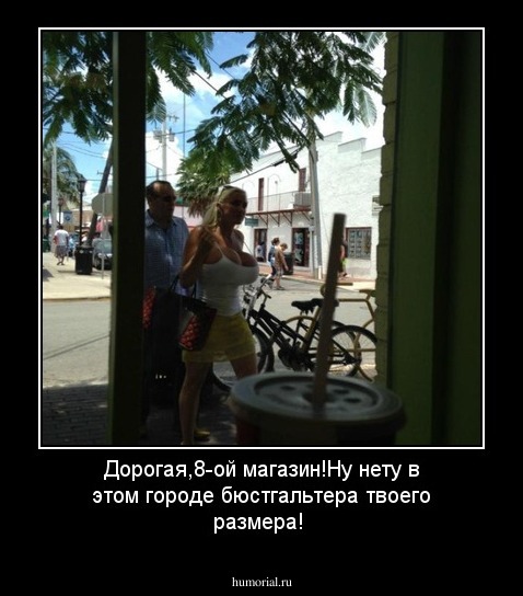Дорогая,8-ой магазин!Ну нету в этом городе бюстгальтера твоего размера!
