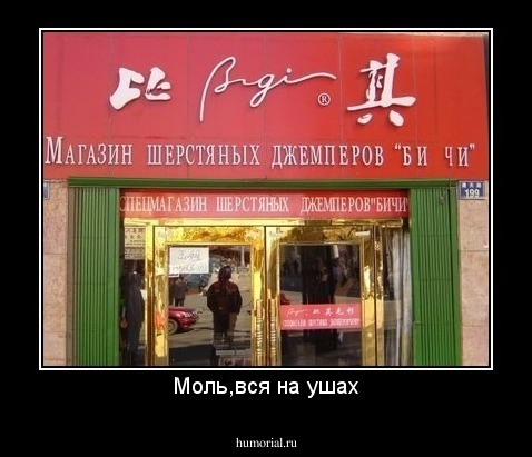 Моль,вся на ушах