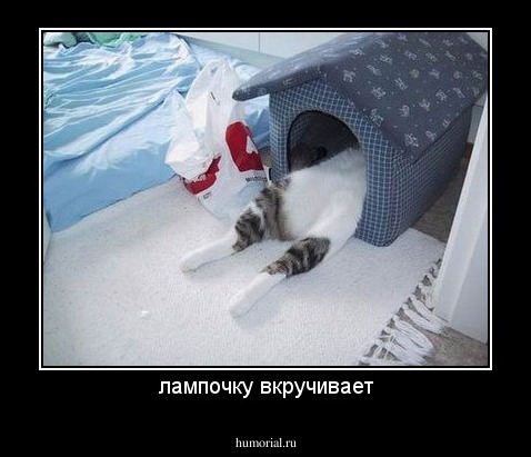 лампочку вкручивает