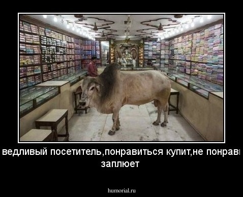 Справедливый посетитель,понравиться купит,не понравиться заплюет