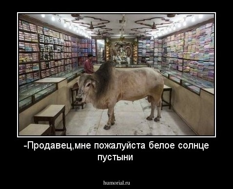 -Продавец,мне пожалуйста белое солнце пустыни