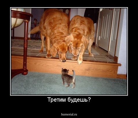 Третим будешь?