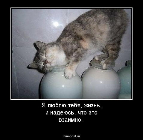 Я люблю тебя, жизнь, и надеюсь, что это взаимно!