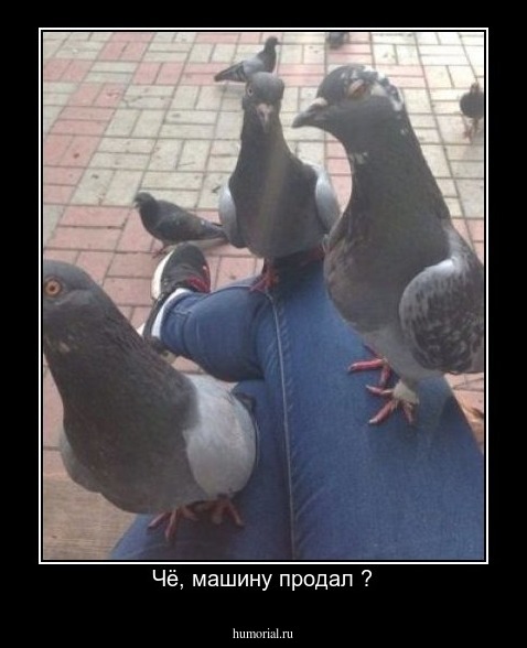Чё, машину продал ?