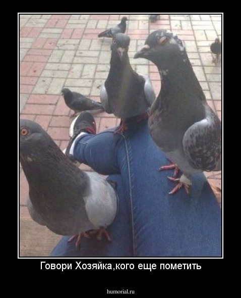 Говори Хозяйка,кого еще пометить