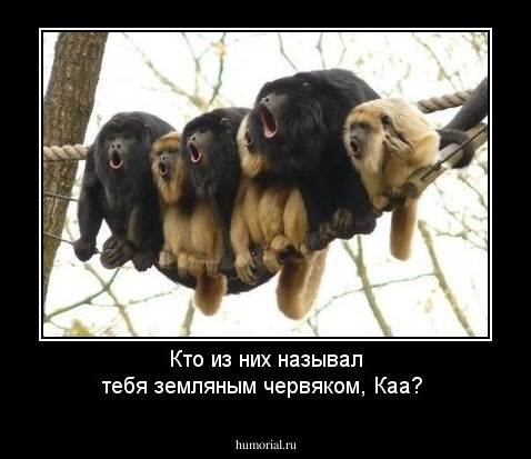 Кто из них называл тебя земляным червяком, Каа?