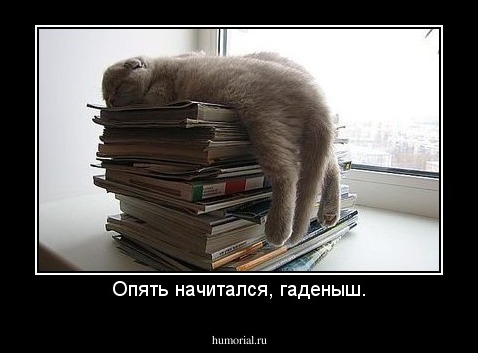Опять начитался, гаденыш.