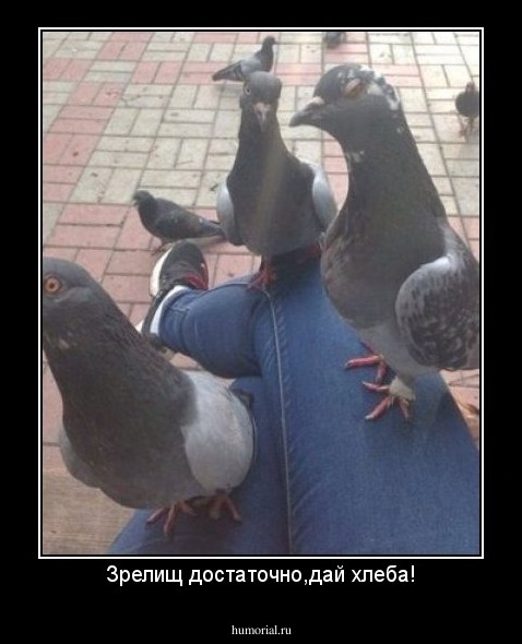 Зрелищ достаточно,дай хлеба!