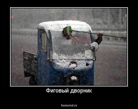 Фиговый дворник