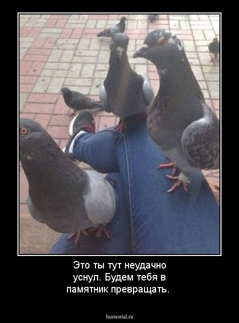 Это ты тут неудачно уснул. Будем тебя в памятник превращать.