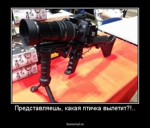 Представляешь, какая птичка вылетит?!..