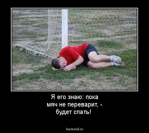 Я его знаю: пока мяч не переварит, - будет спать!